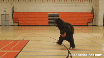 BlackBearDiner basketball bear hoops bears GIF