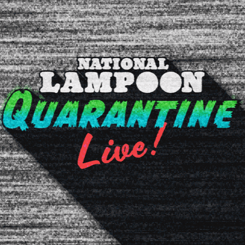 Quarantine GIF by National Lampoon