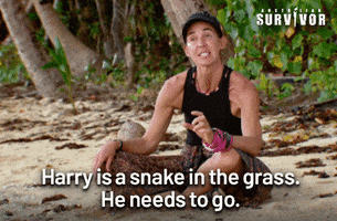 Harry Snake GIF by Australian Survivor