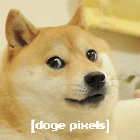 Dog Pixel GIF by Own The Doge