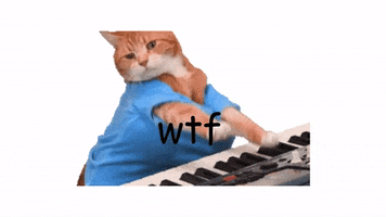 Cat GIF