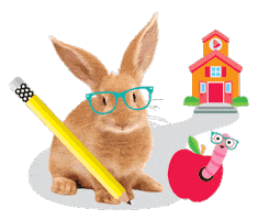 Learn Back To School Sticker by Schoolgirl Style Classroom Decor