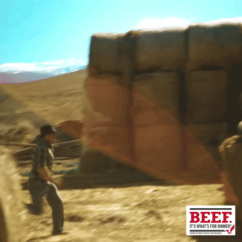 American Ninja Warrior GIF by Beef. It's What's For Dinner. - Find & Share on GIPHY