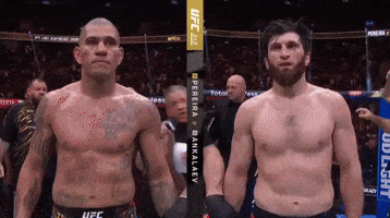 Ufc Champion GIF