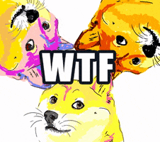 Meme GIF