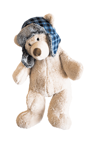 Teddy Bear Lolopopgang Sticker by Lo Lo