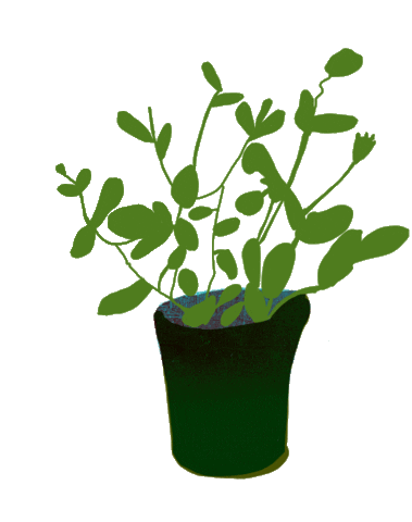Plants Sticker