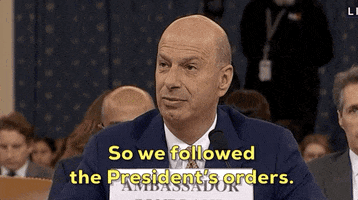 Impeachment Hearings GIF by GIPHY News