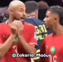 Fifa World Cup 2026 GIF