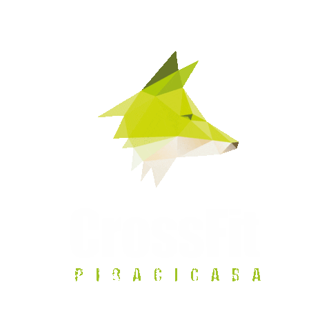 crossfitpiracicaba Sticker