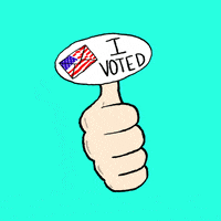 Election 2020 Thumbs Up GIF by INTO ACTION