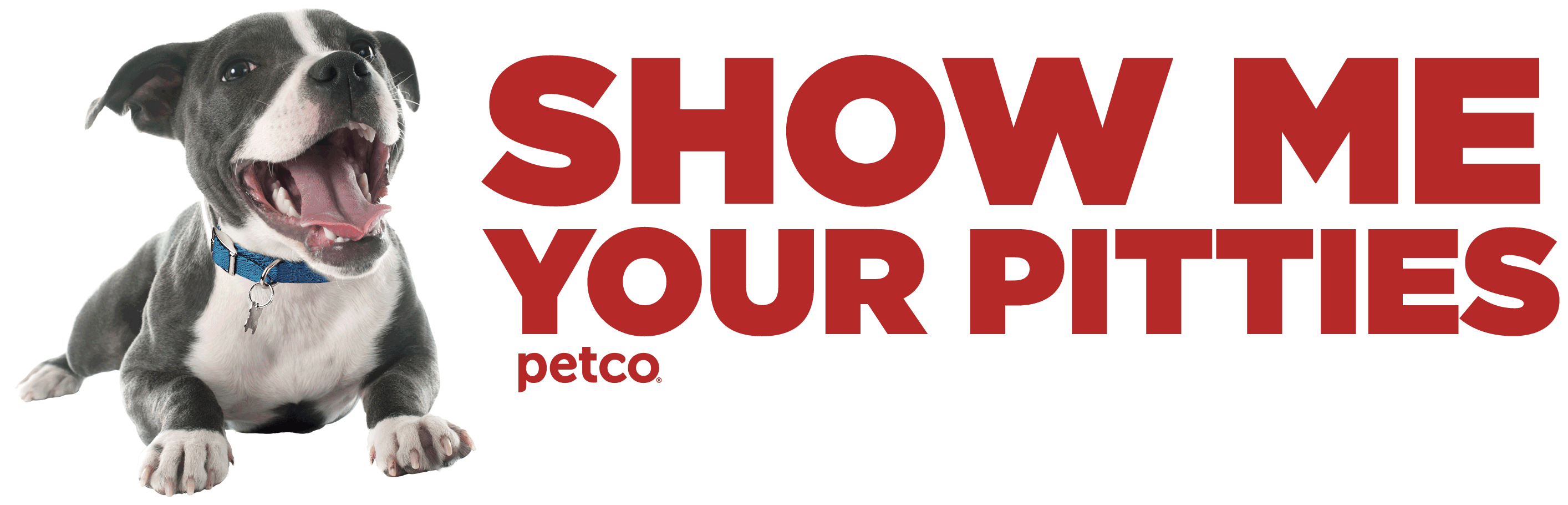 Pit Bull Dog Sticker by Petco for iOS & Android GIPHY