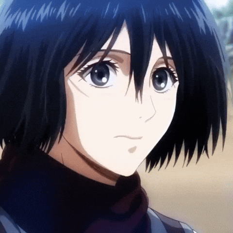 Attack On Titan GIF