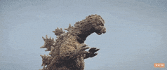 Mothra Vs Godzilla 60S GIF by Turner Classic Movies