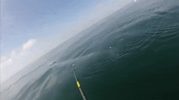 Science GIF