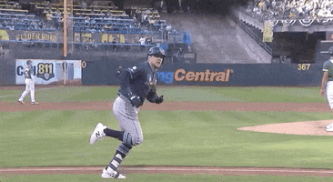 Celebrate Tampa Bay Rays GIF by ESPN