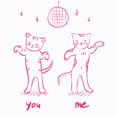 Dance Cats GIF