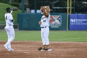 ozzie t cougar gocougs GIF by Kane County Cougars