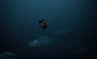 Demon Slayer GIF