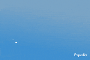 Travel GIF by Expedia