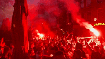 Fans Champions GIF by Storyful