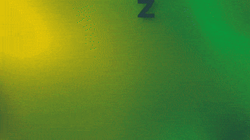 Zpf GIF by Zomerparkfeest