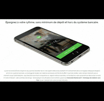 verarezo gold diamond silver Mastercard GIF