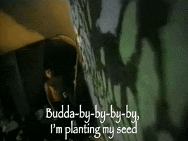 Seed GIF by Sublime