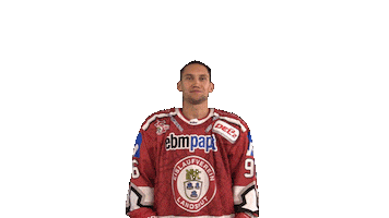 David Zucker Landshut Sticker by EVL Spielbetrieb GmbH