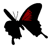 Postmalone Sticker by UniversalMusic