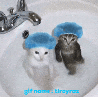 Tlroyraz GIF