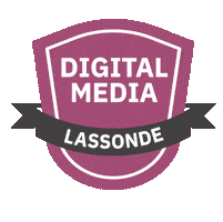 York University Sticker by Lassonde School of Engineering