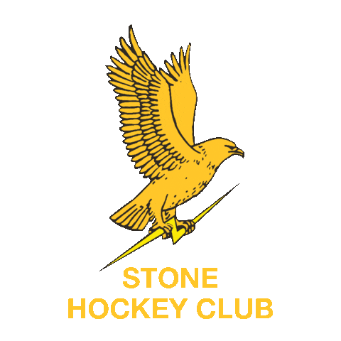 Field Hockey Stone Sticker by Y1Hockey