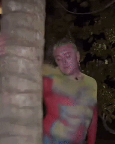giphy.gif?cid=5e21488671608d482aea27b796eac100c314ecdd7087b2d7&rid=giphy.gif&ct=g