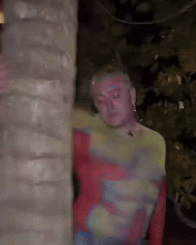 giphy.gif?cid=5e214886afddc70169105ff40b