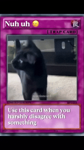 No Way Cat GIF