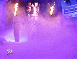 Wwe GIF