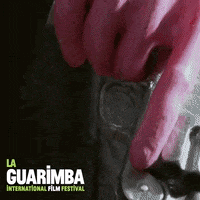 Lets Go Shut Up GIF by La Guarimba Film Festival