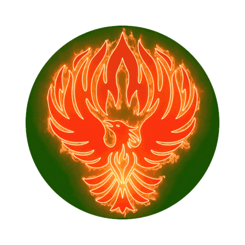 Xirdalan Logo Flame Sticker by CarlsbergAzerbaijan
