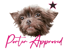 Puppy Love La Sticker by SecondSummerBrideSac