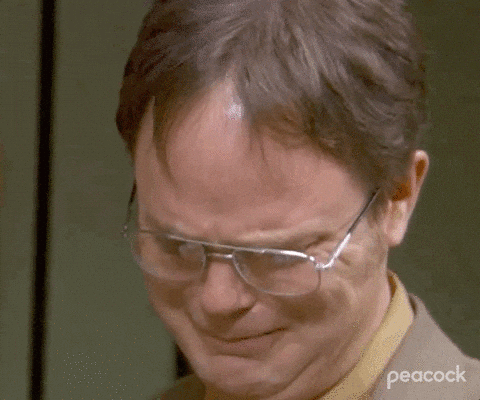 Giphy - Season 3 Thank You GIF by The Office