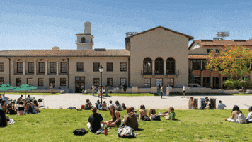 GIF by Occidental College
