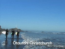 christchurch-nz GIF