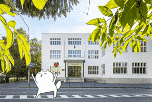 GIF by mestotrencin