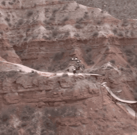 Red Bull Rampage Bike GIF by Red Bull