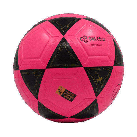 Bola Futevolei Sticker by Dalebol