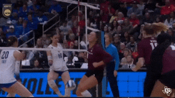 Texas Am Volleyball GIF by Texas A&M Athletics