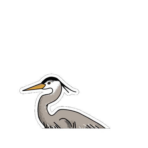 Bird Birding Sticker by Parks Conservancy