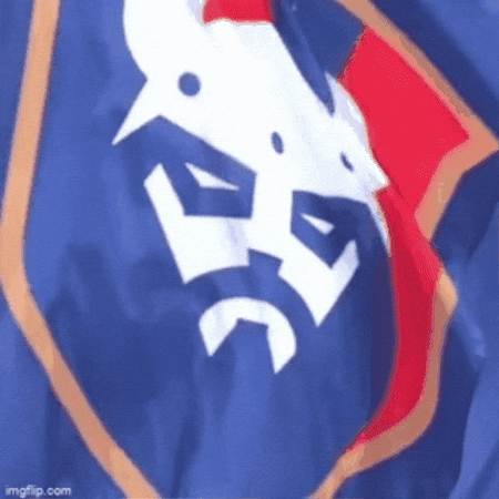 France Football GIF