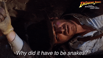 Why Did It Have To Be Snakes GIF by Indiana Jones